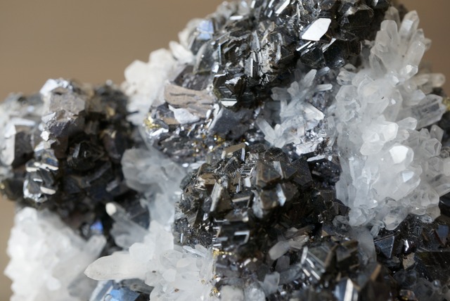 クォーツ/チャルコパイライト/スファレライト/ガレナ Quartz/Chalcopyrite/Sphalerite/Galena 1462