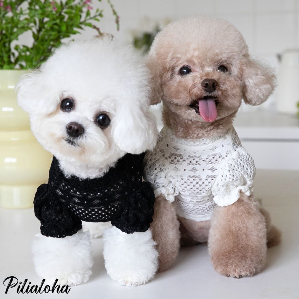 繊細レースカットソー 犬服 ペットウェア レース 小型犬服 韓国犬服
