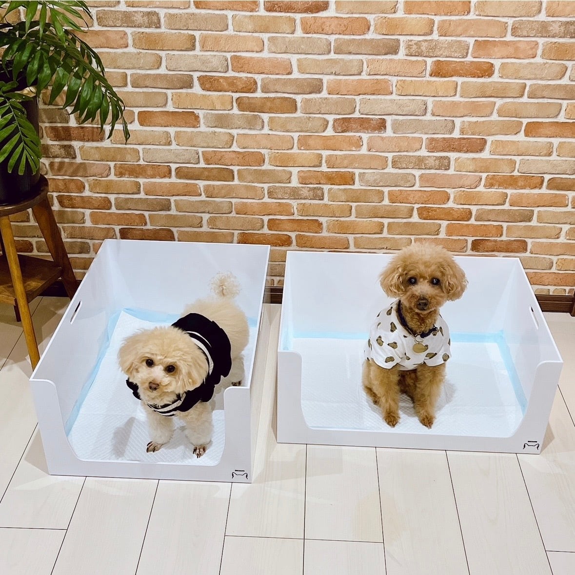 小型犬用トイレ 縦型 ホワイト no.2 | BECOANO