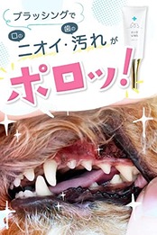 ニオワン 犬 歯石取り 歯磨き はみがき 猫 ペット デンタルケア 口腔歯ブラシ ガム 口臭 歯垢 ジェル 30g