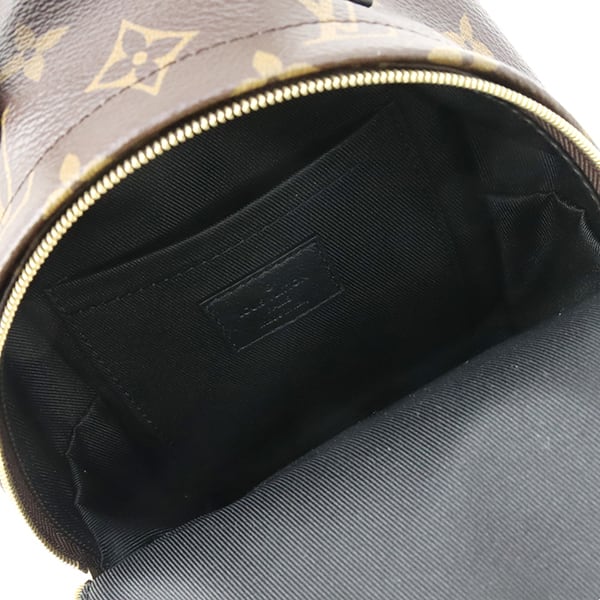 New LOUIS VUITTON ルイヴィトン パームスプリングス バックパック