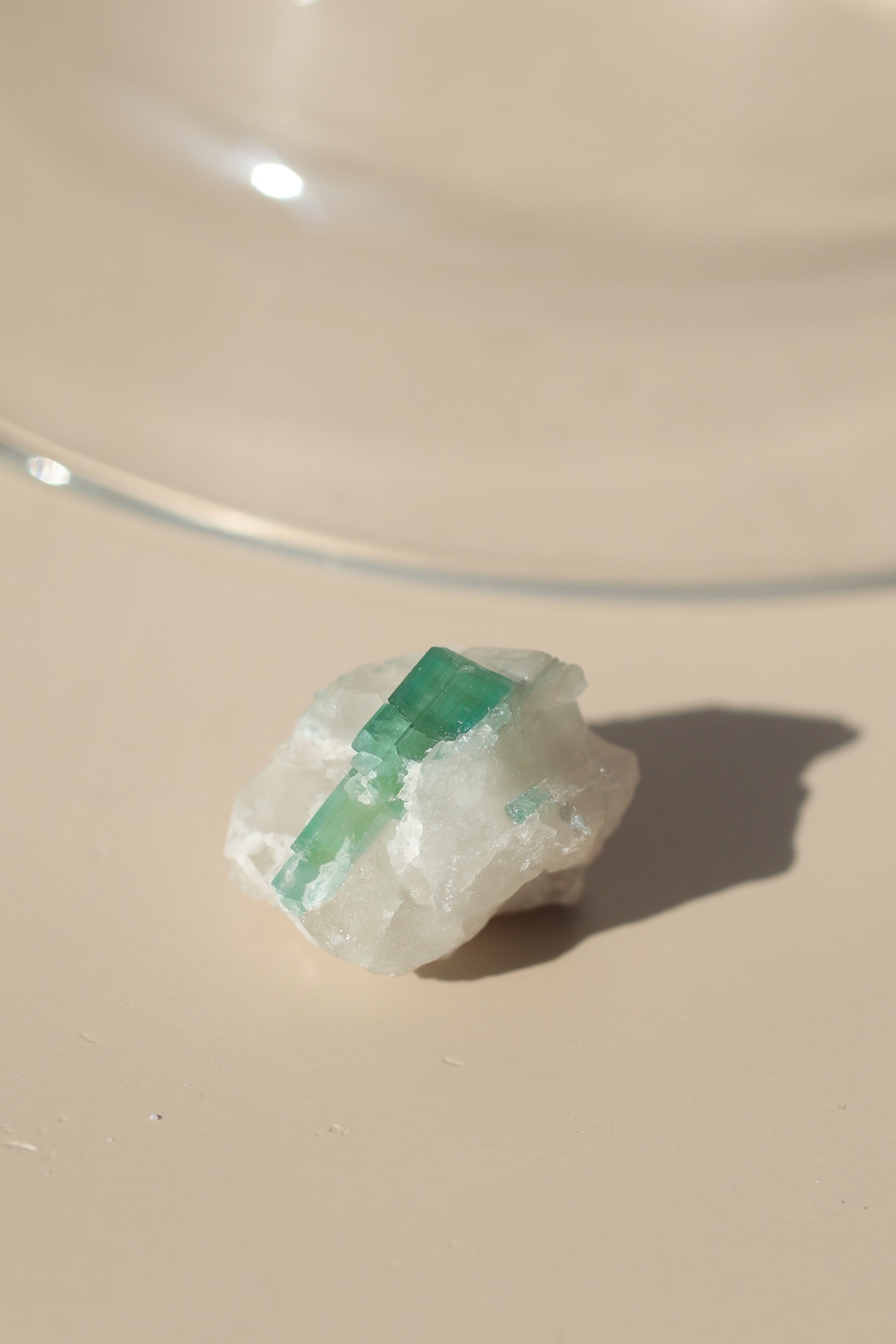 トルマリン「安らぎの木」Tourmaline | 天然石 原石 鉱物 パワーストーン | TM-I-011