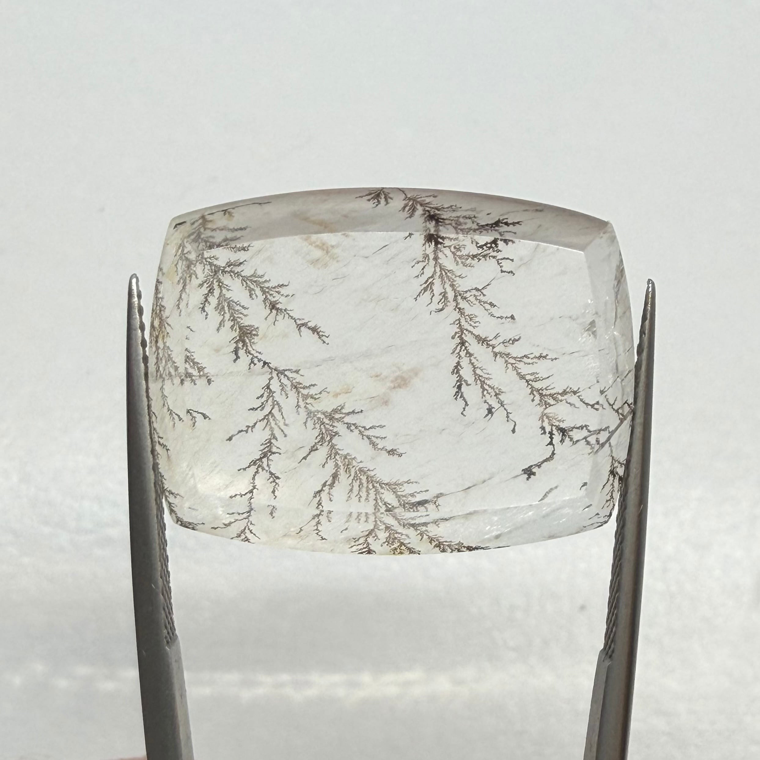 冬景色　デンドリティッククオーツ2