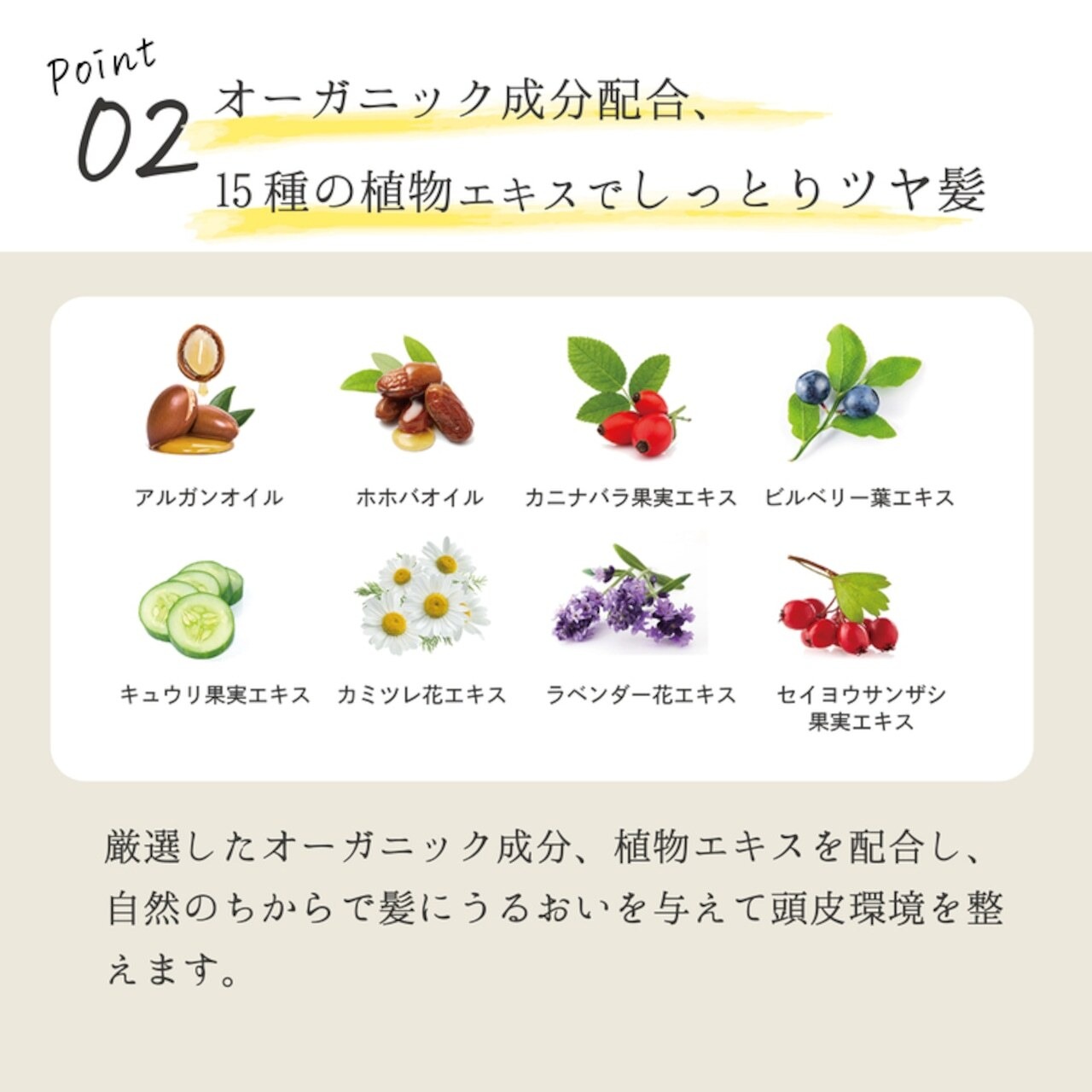 【お得な1ヵ月定期便/送料無料】EPIS シャントリセット|LDK A評価 オーガニック シャンプー トリートメント ノンシリコン ダメージケア