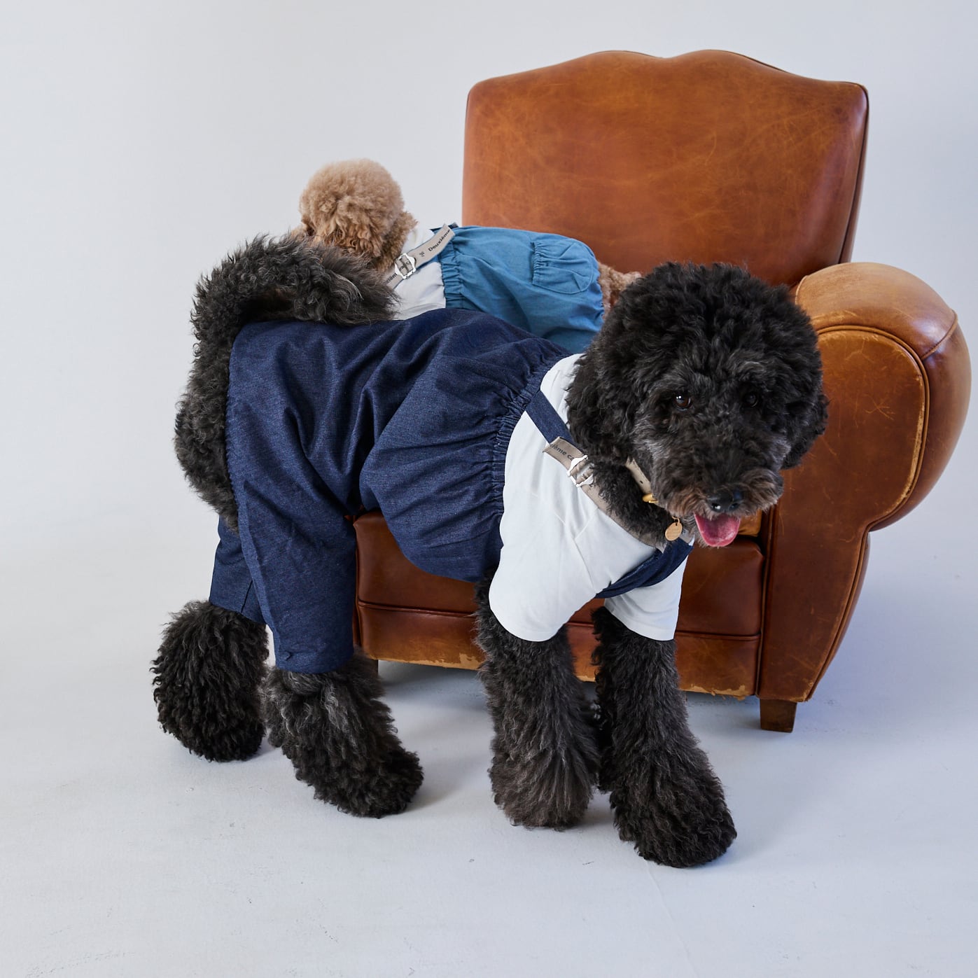 252033大型犬サイズ］デニムロンパース | 犬服ブランド 2e deuxieme