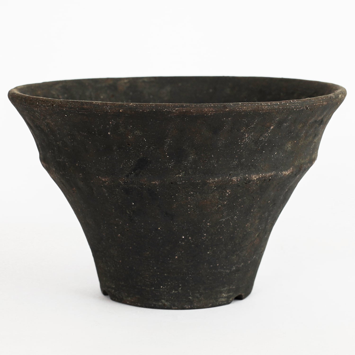 水谷智美(tomomi mizutani) | amane-official