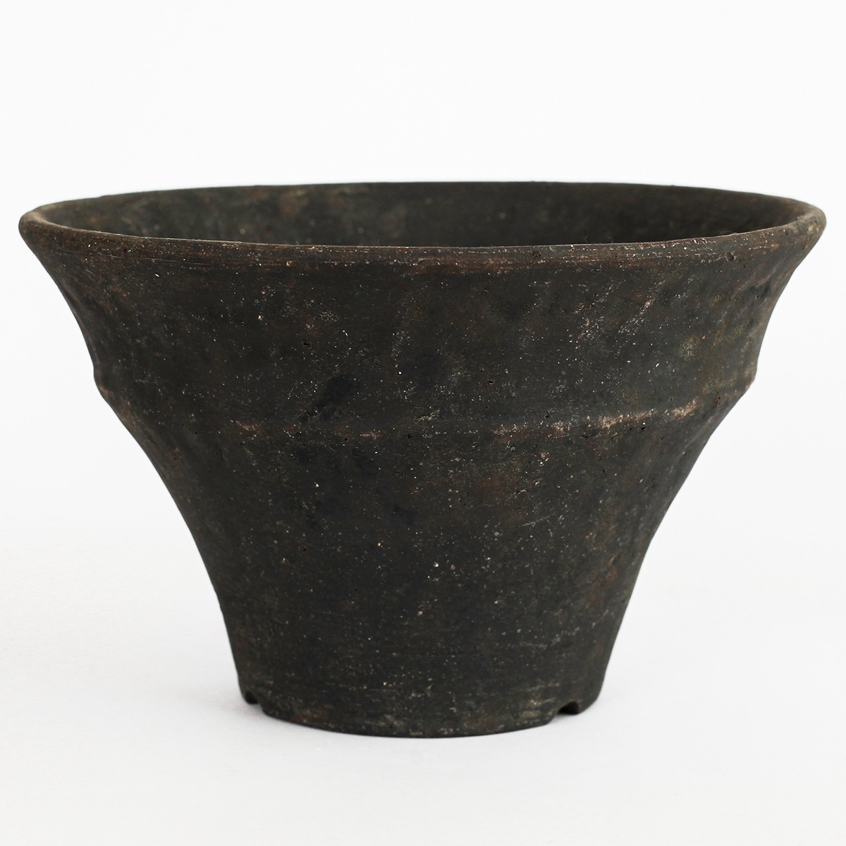 Plants Pot -XXXL- (水谷智美) R | amane-official