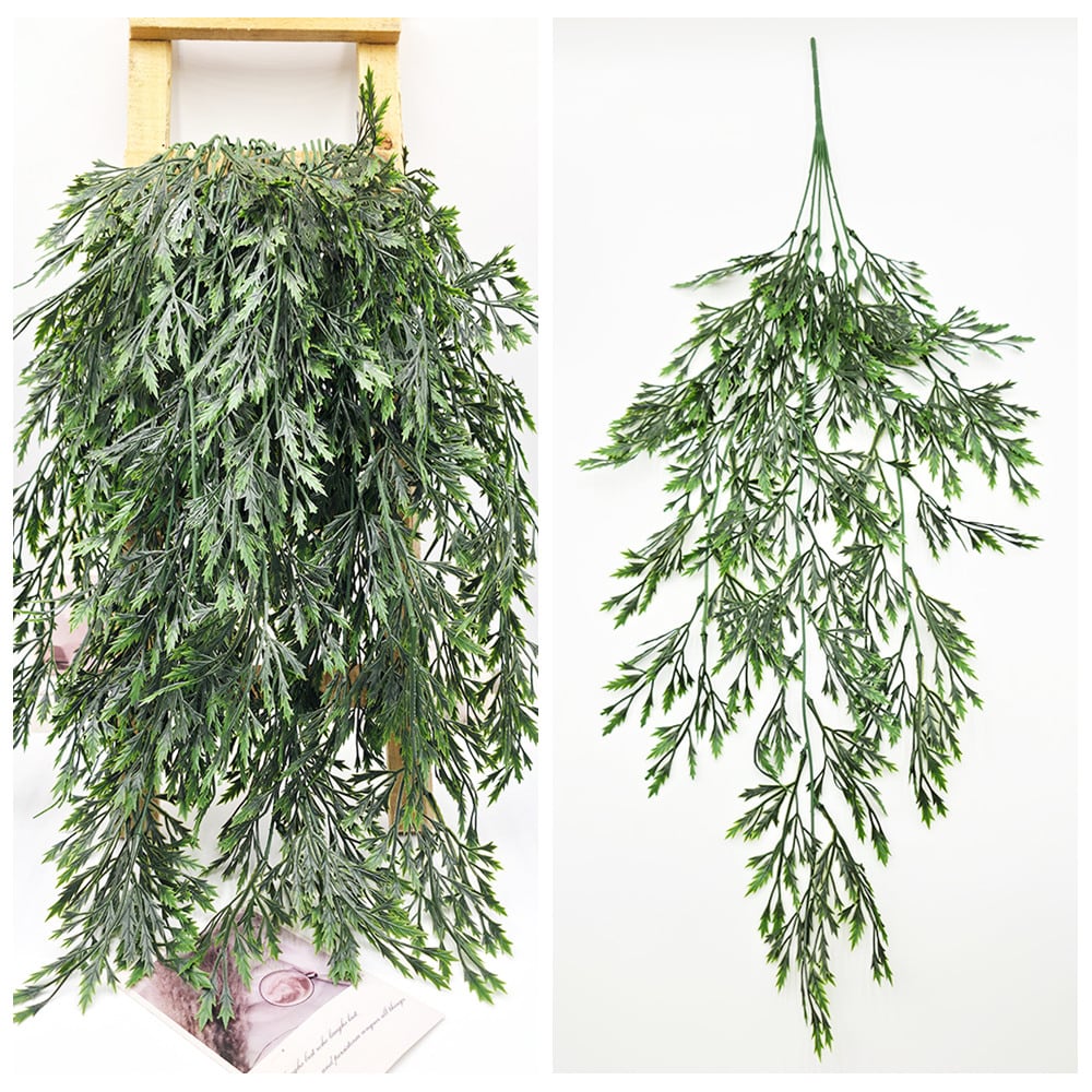 ovatifolia 'Lava Flow' オバティフォリア ラバフロー 薄斑 中斑 | PAY ID