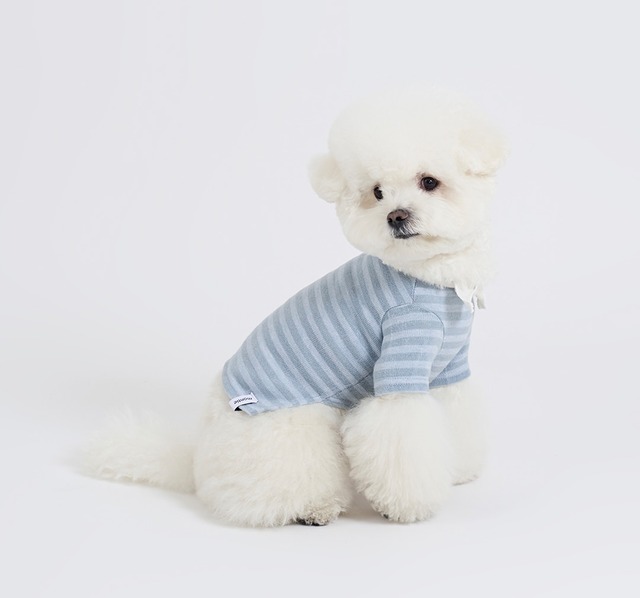 リボンティー　-　(BLUE)