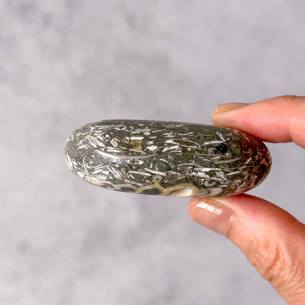 ツリテラアゲート 01 パーム * Turitella Agate * 天然石