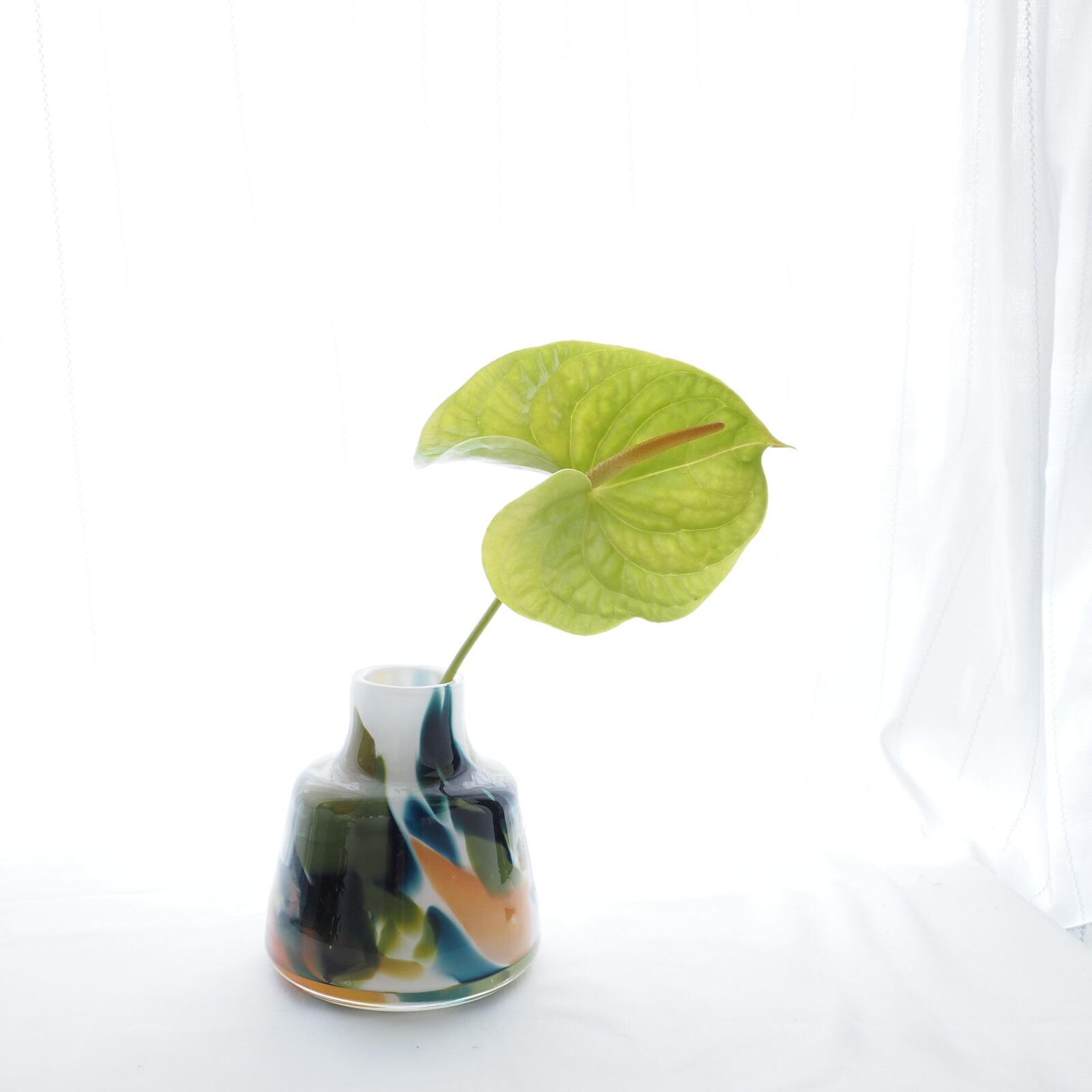 FIDRIO】‐COLORI- フラワーベース | hanavie