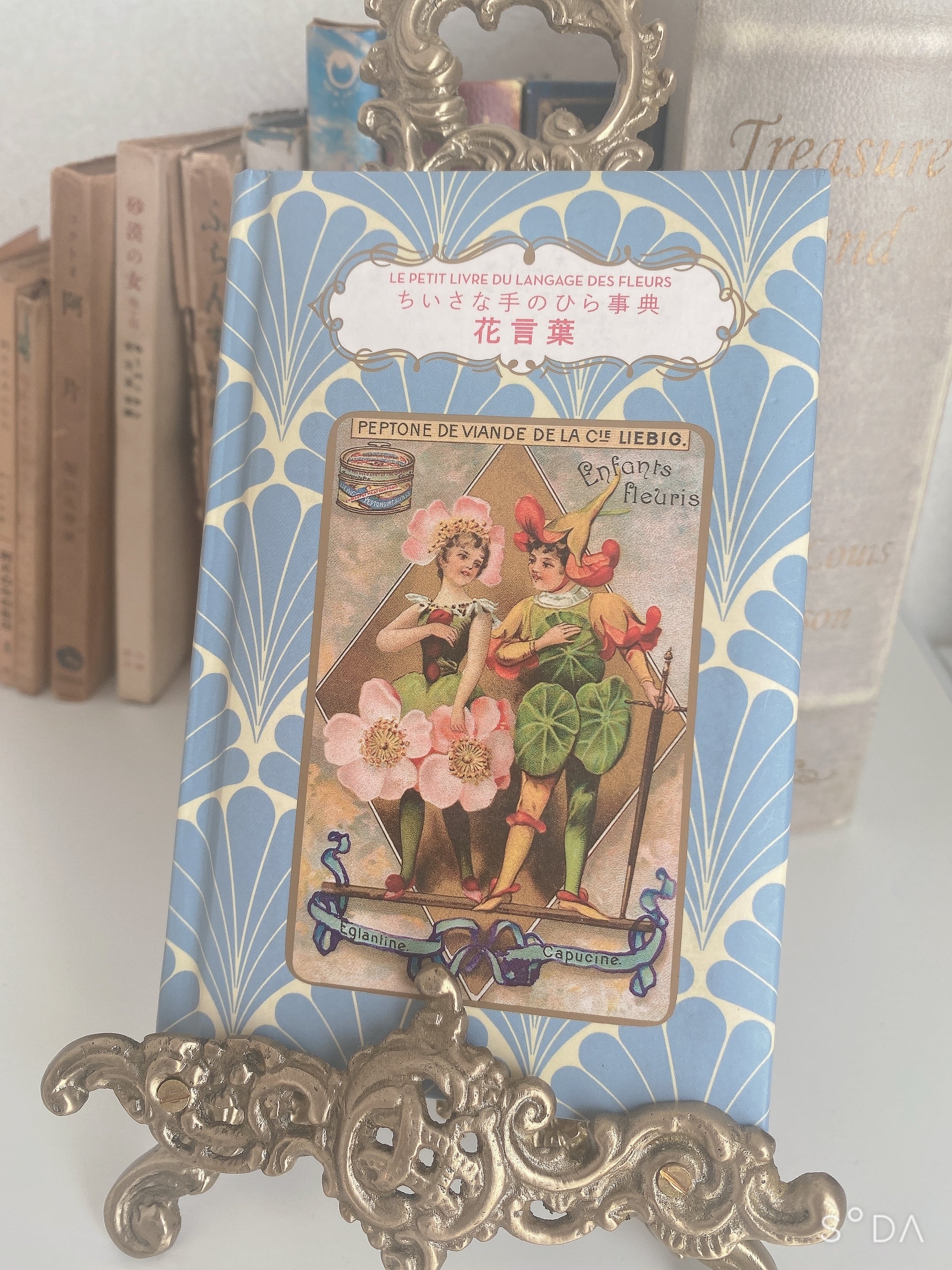 ちいさな手のひら事典 花言葉 | Un Cabinet de Curiosités