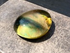 cat's eye