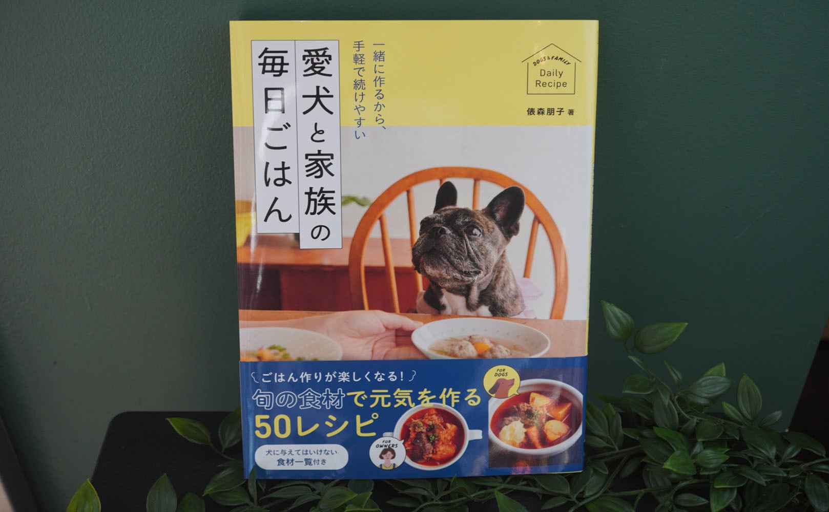 愛犬と家族の毎日ごはん | APERRO JAPAN 無添加ペットフード＆トリーツ