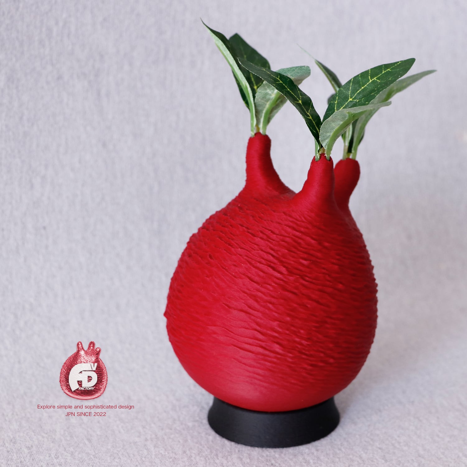 触れたくなるCaudex造形｜パキポディウム グラキリス｜(130x240) Ssize