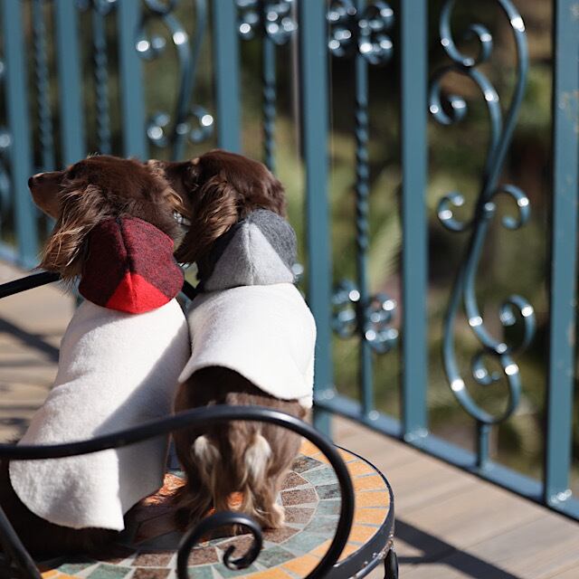 メルトンフリースパーカー