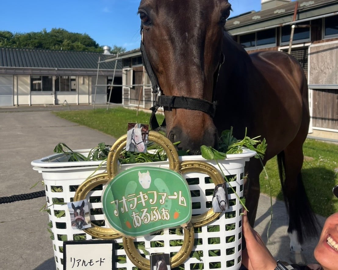 青草プレゼント【乗馬】あるふぁ馬宛