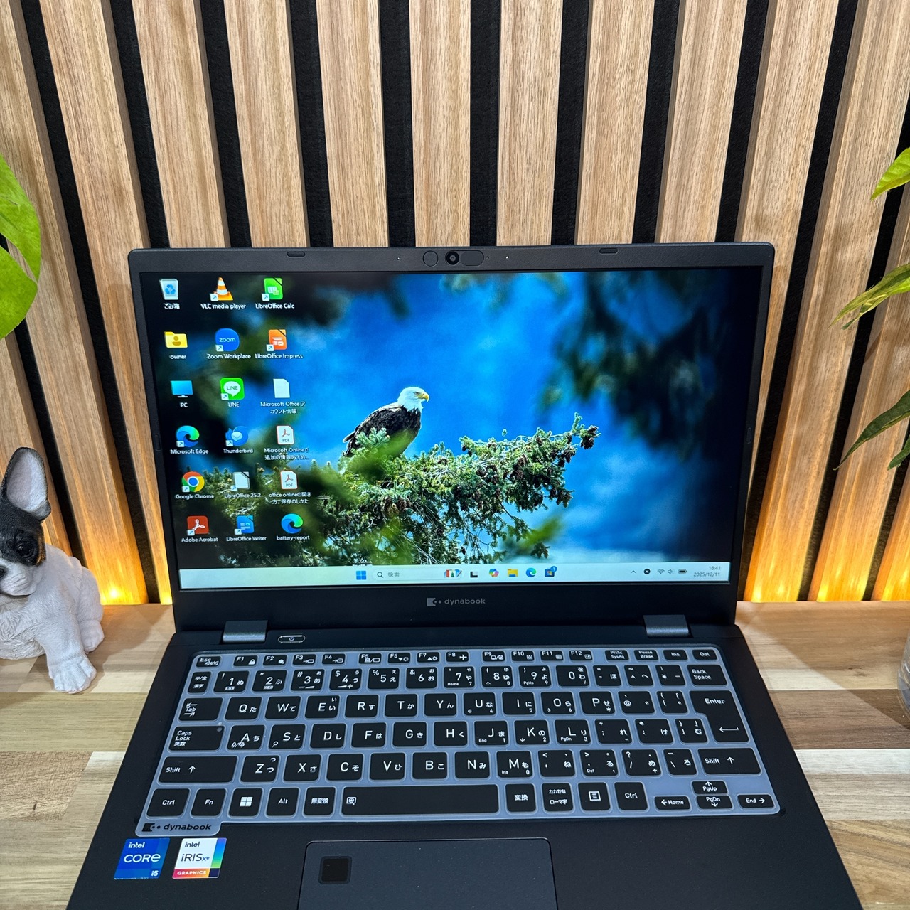 \ 公式ショップ限定価格❣️/ 極美品《2023年モデル》東芝 dynabook GS5/WDL 第13世代 メモリ16GB SSD512GB ノートパソコン 安心サポート＆3ヶ月保証付き