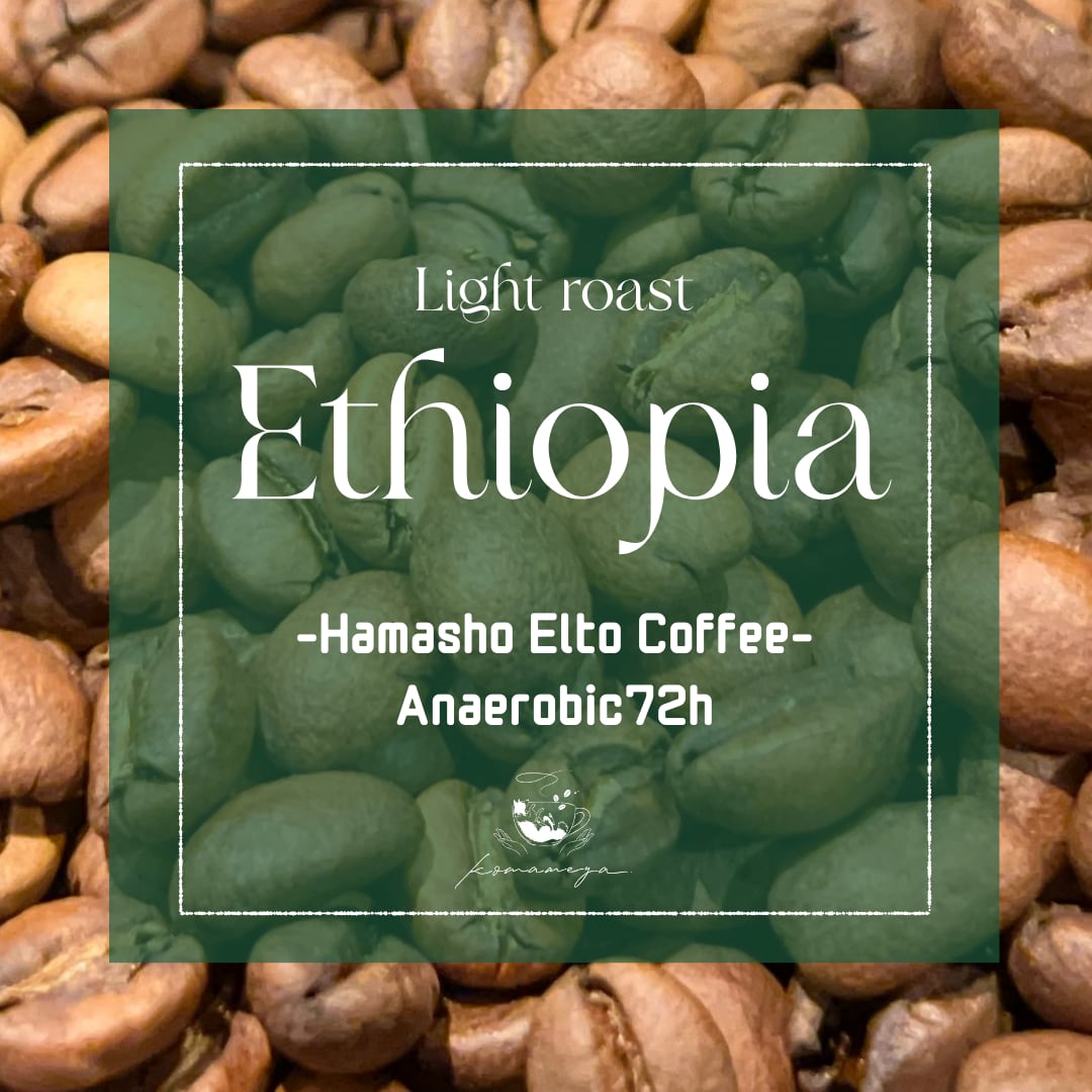 【エチオピア】Bensa  Hamasho Anaerobic72h ｜Light roast
