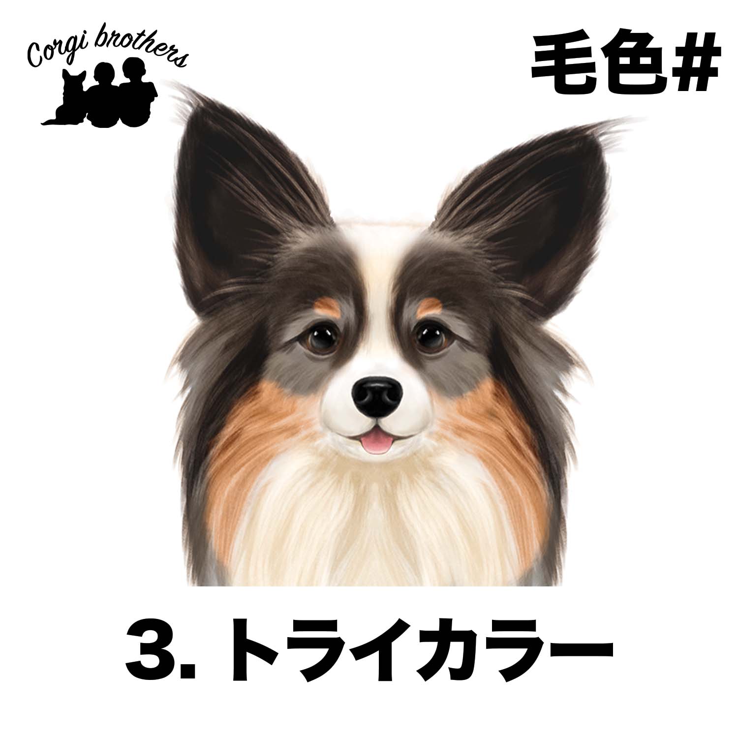 パピヨン 水彩画風 毛色4色 】 パステルカラー コインケース お散歩用