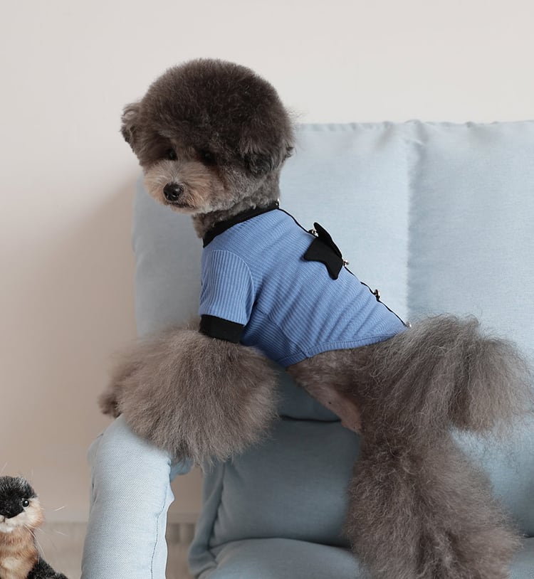 Onz Ribbon Knit T-shirt S ~ XL 4color / 犬服 新作 ニット 可愛い 犬の服 Tシャツ リボン トップス お揃い ドッグウェア b54