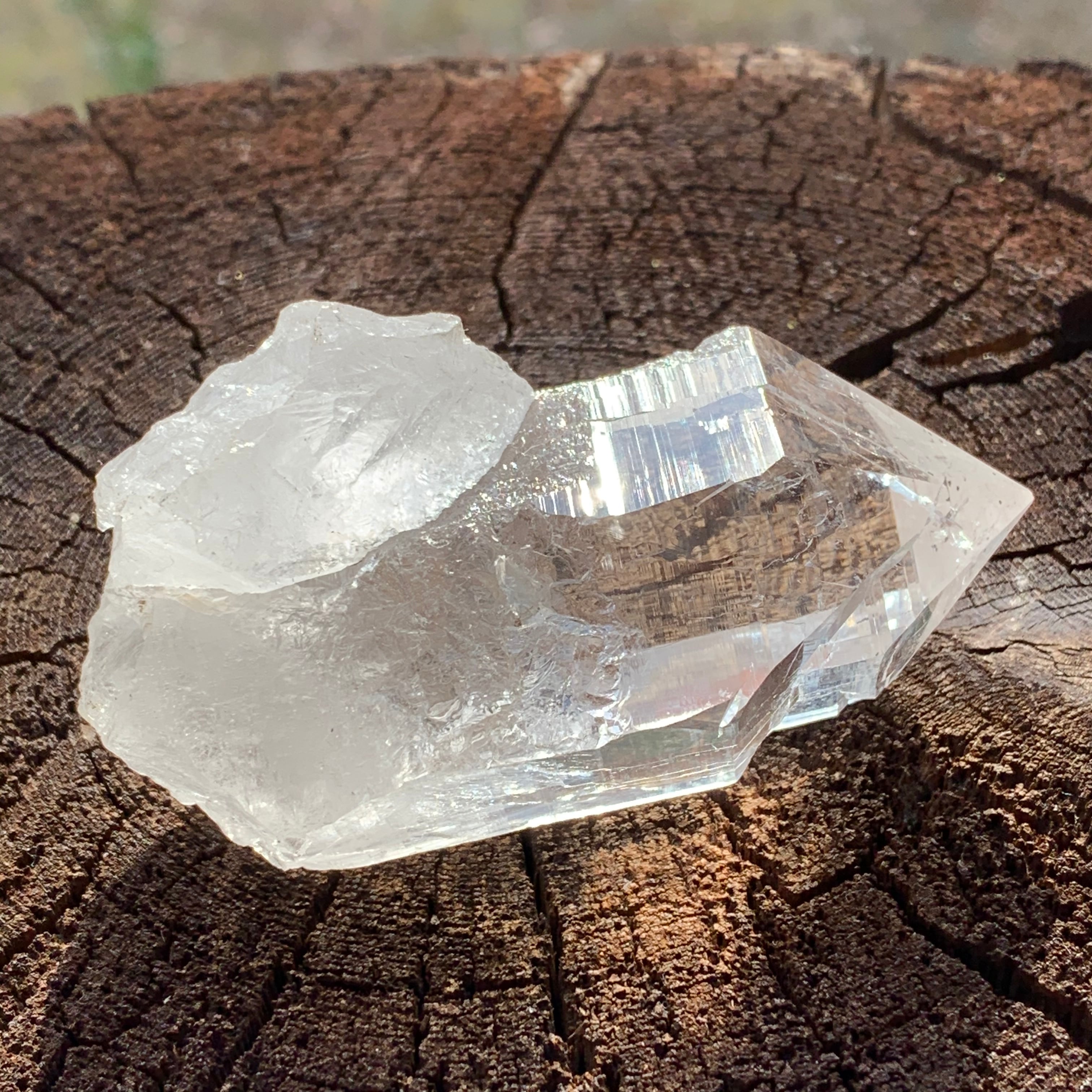 トライゴーニック レコードキーパー カテドラル マニハール産水晶(クル