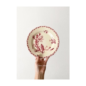 Gien ジアン / “CACTUS” サボテンの花の平皿プレート