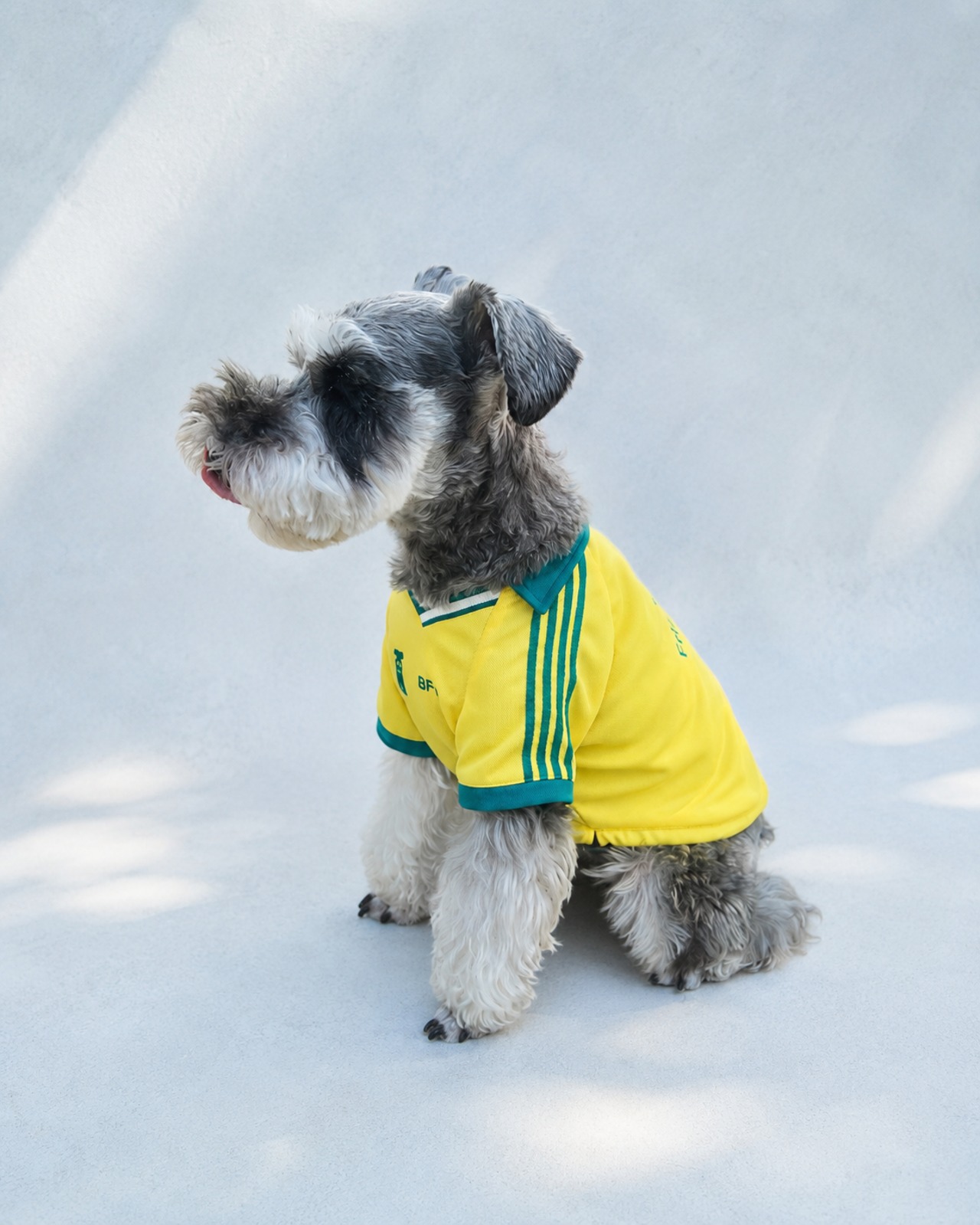 Friends United Uniform（Yellow）