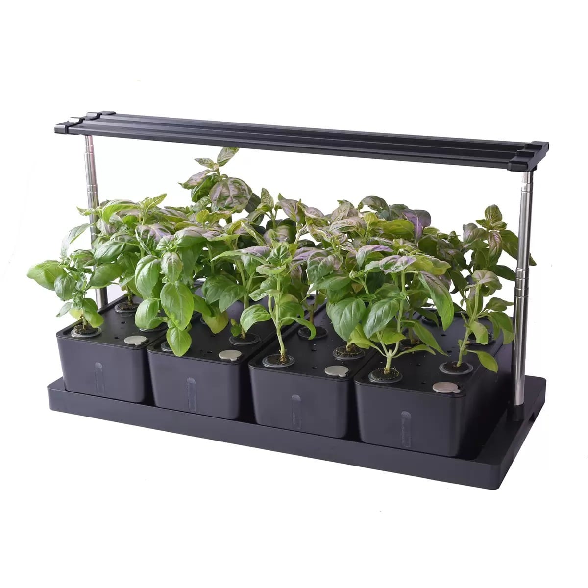 iDOO 水耕栽培キット 野菜栽培セット 植物育成ライト 自動水循環システム　送料無料 Amazon | iDOO イドー 水耕栽培キット 野菜栽培セット 室内 おしゃれ