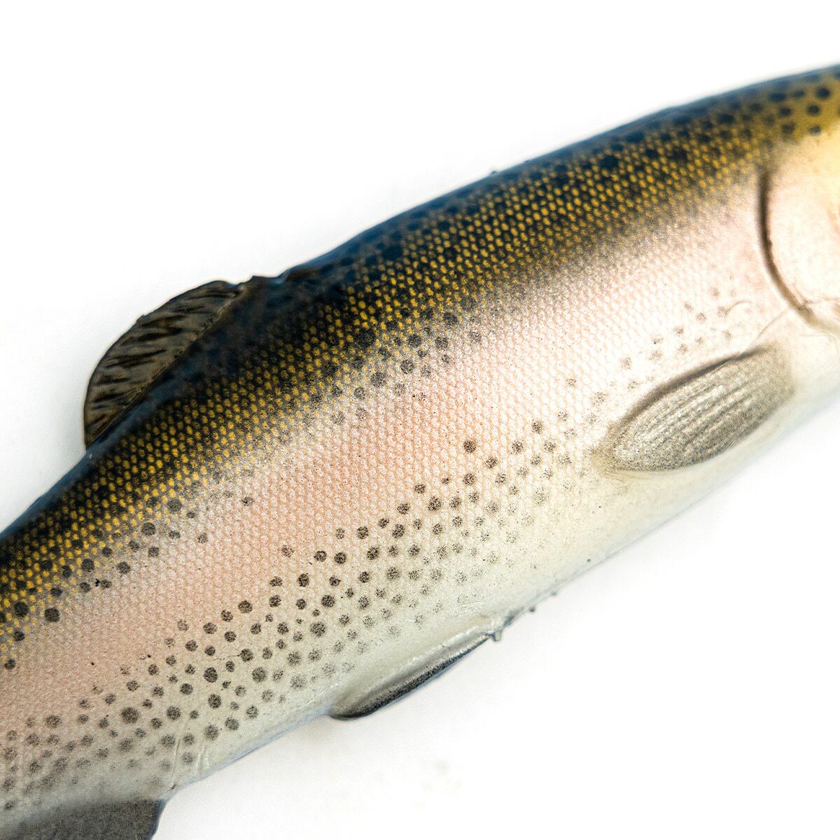 Chaos Bait / Chaos Trout 9.5 #Dark Trout | modeB Trading