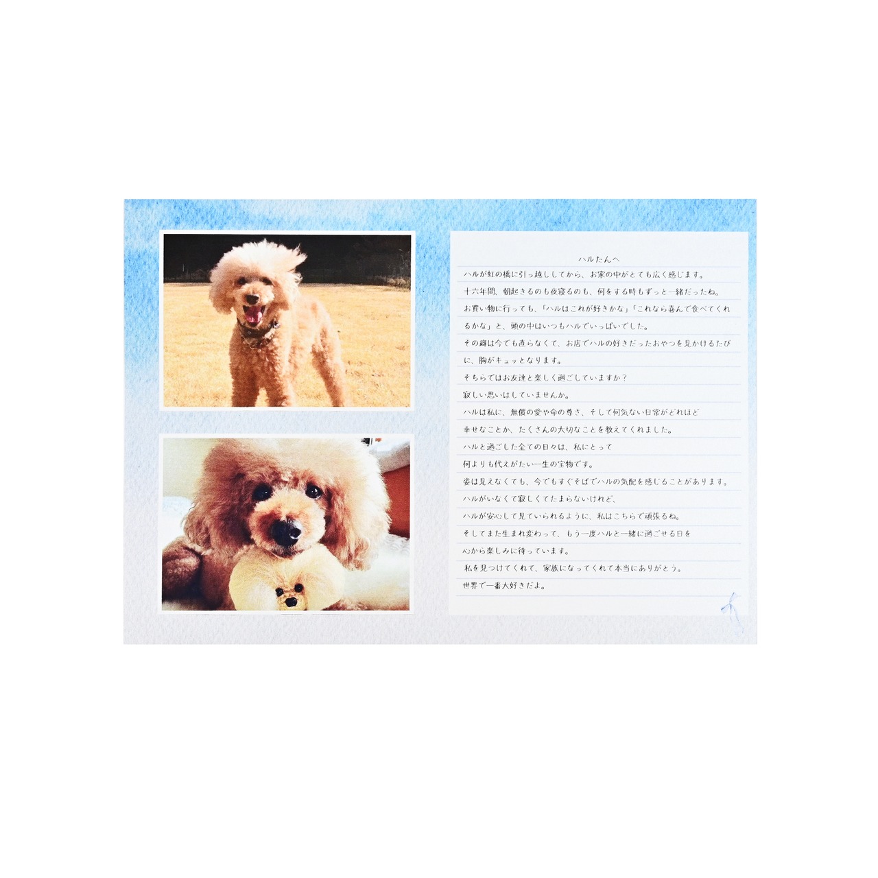 しっぽのおてがみ メモリアルプラン