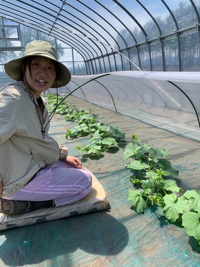 十勝メロン（札幌キング）２個セット　4キロ程度