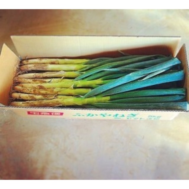 ねぎ好き必見！《5kg》葱華屋の泥付き"深谷葱"