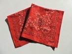 【 DEADSTOCK 】 RN23733 Plants VINTAGE BANDANNA