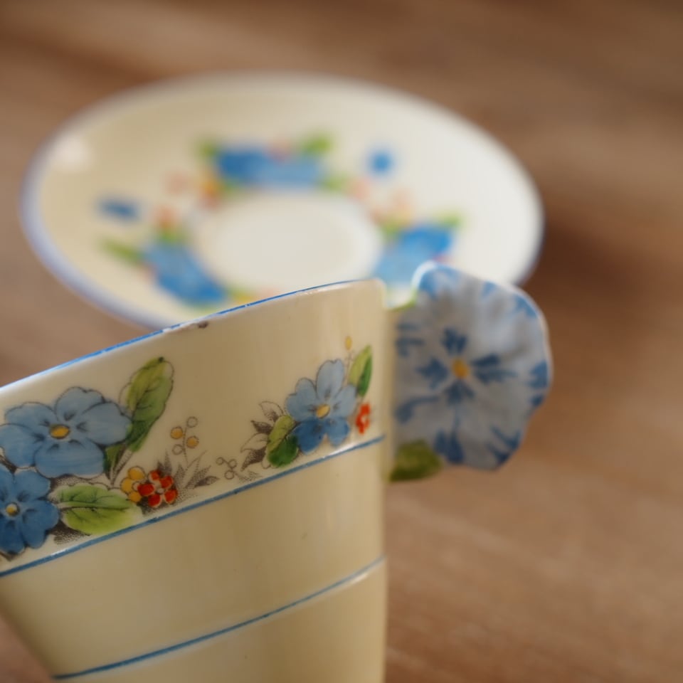 訳あり【英国Paragon】パラゴン プリムローズボーダー フラワー