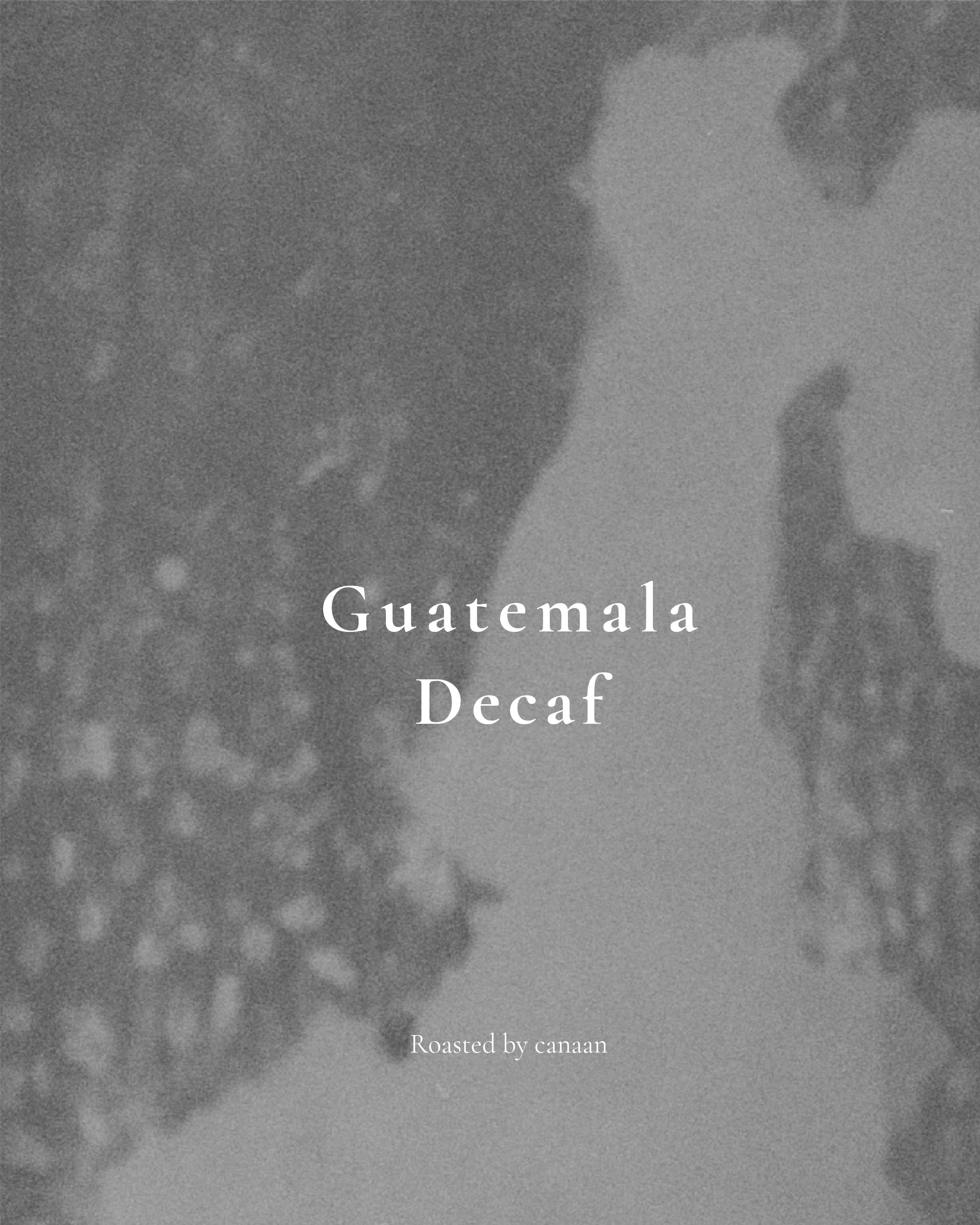 Guatemala Pacayalito Organic Washed (Decaf) | 200g