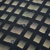 gradation check shirt black