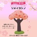 コンコンブル 桜咲く春の日 ソメイヨシノ