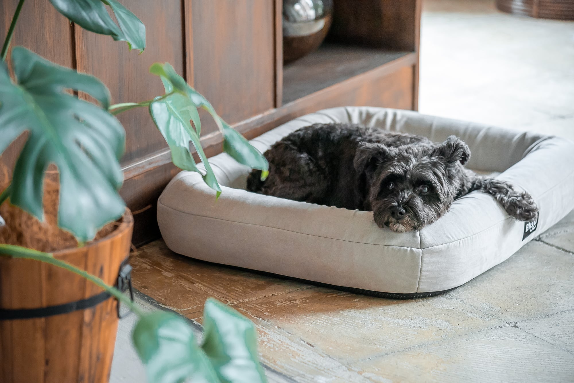 新品未開封 ペット用ベッド ドイツブランドWilliam walker グレー High-quality dog beds and dog cushions from William Walker