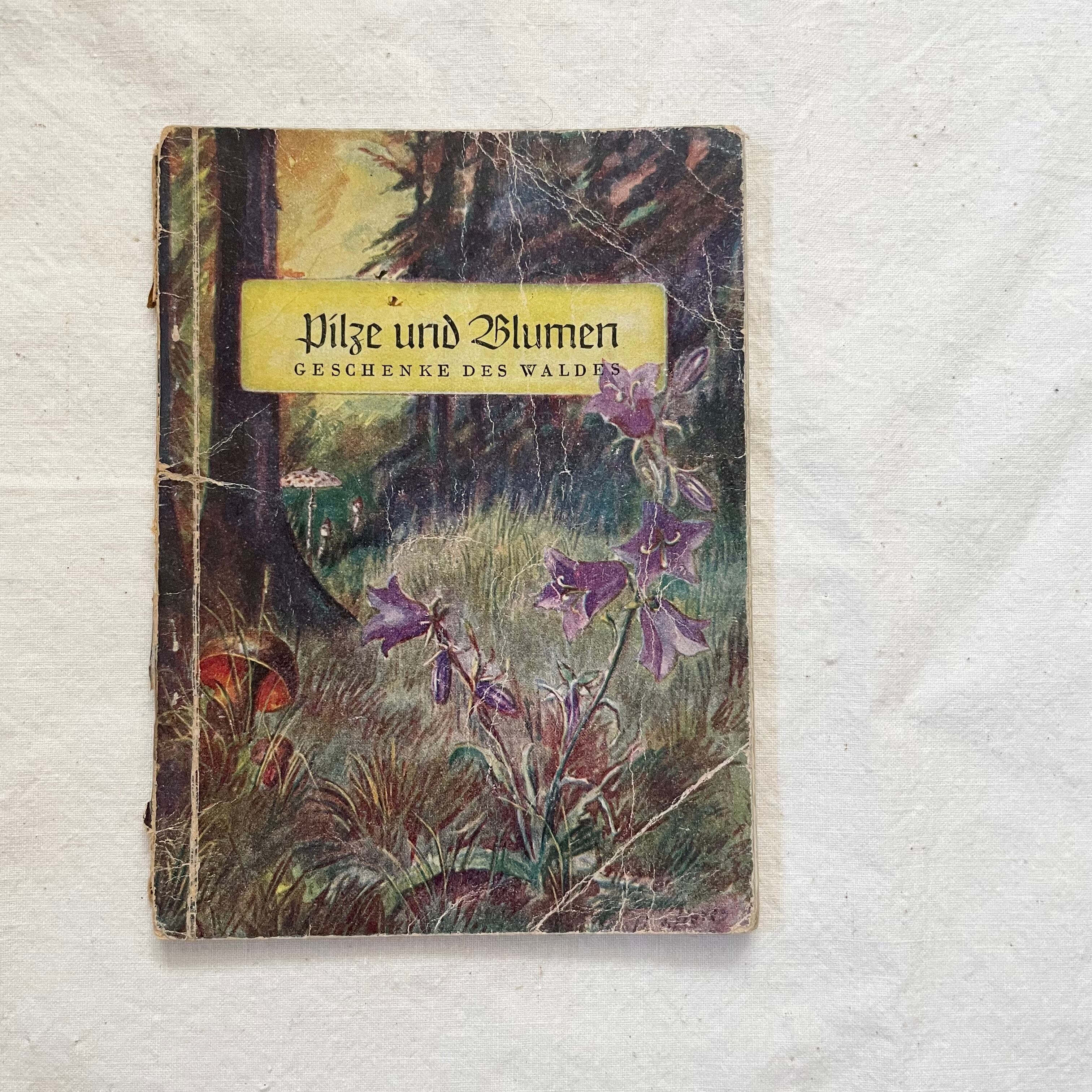 キノコと植物の本