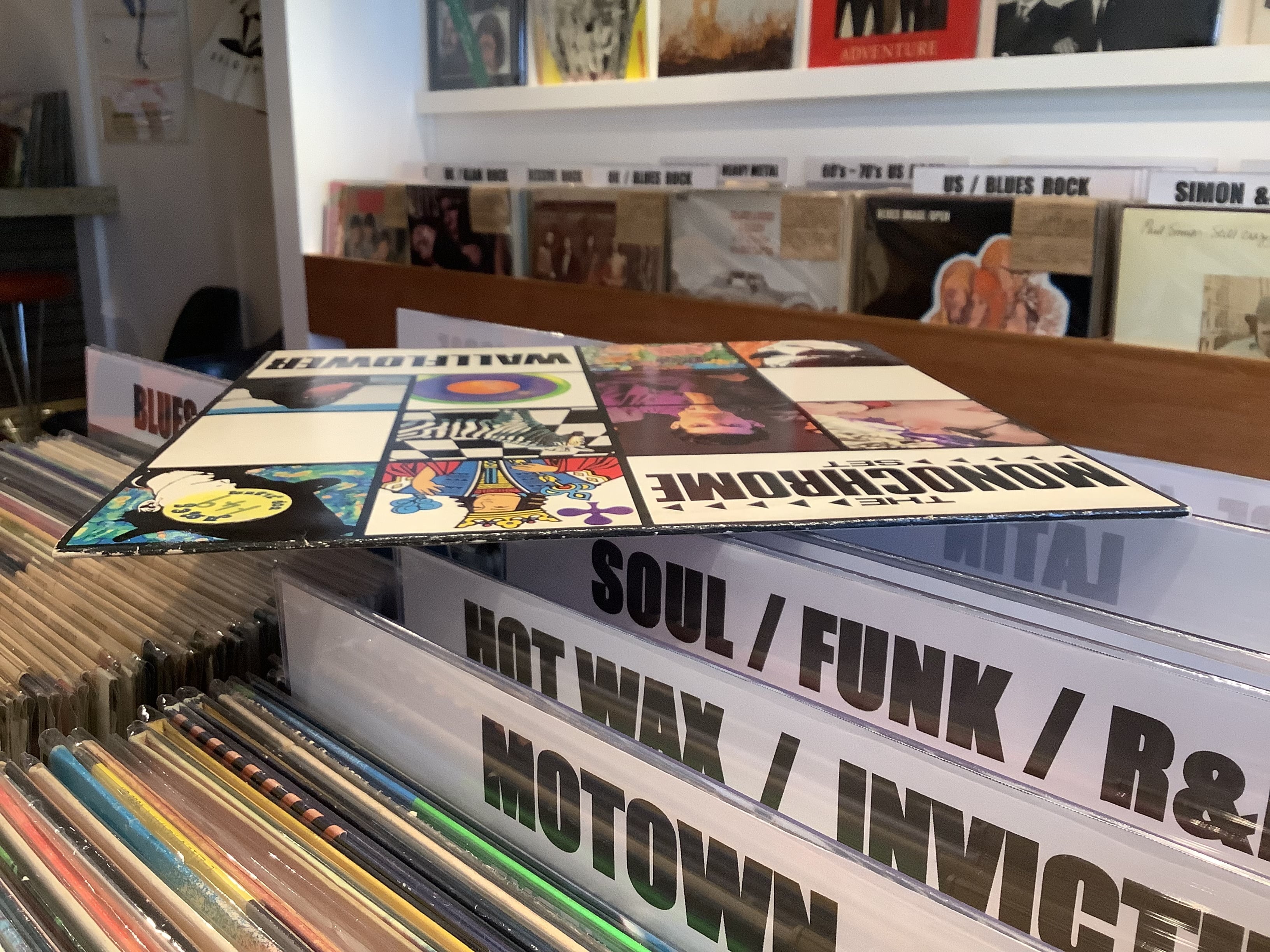 THE MONOCHROME SET / WALLFLOWER | Plastic Soul Records