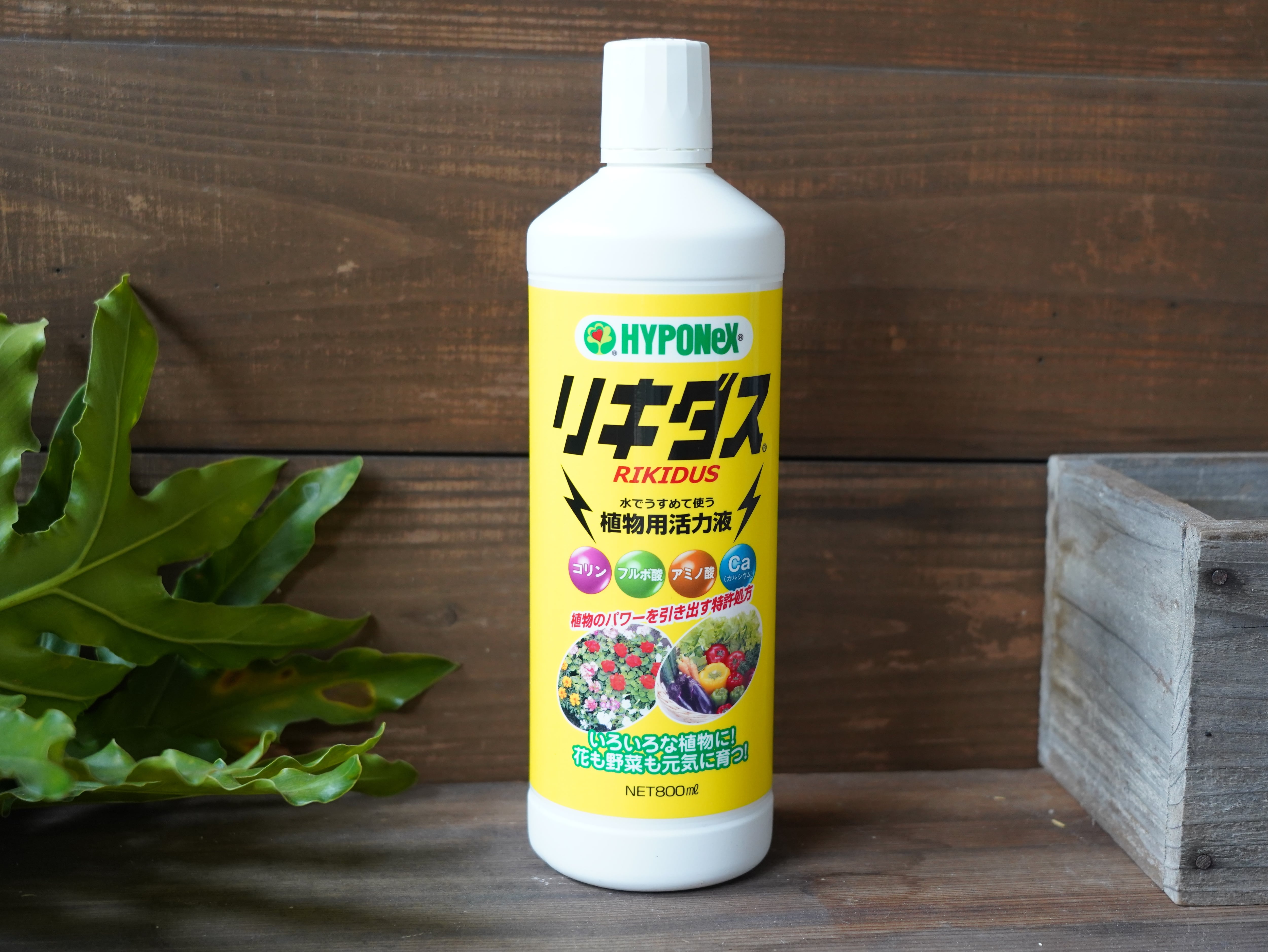 ■ ハイポネックス リキダス（800ml）