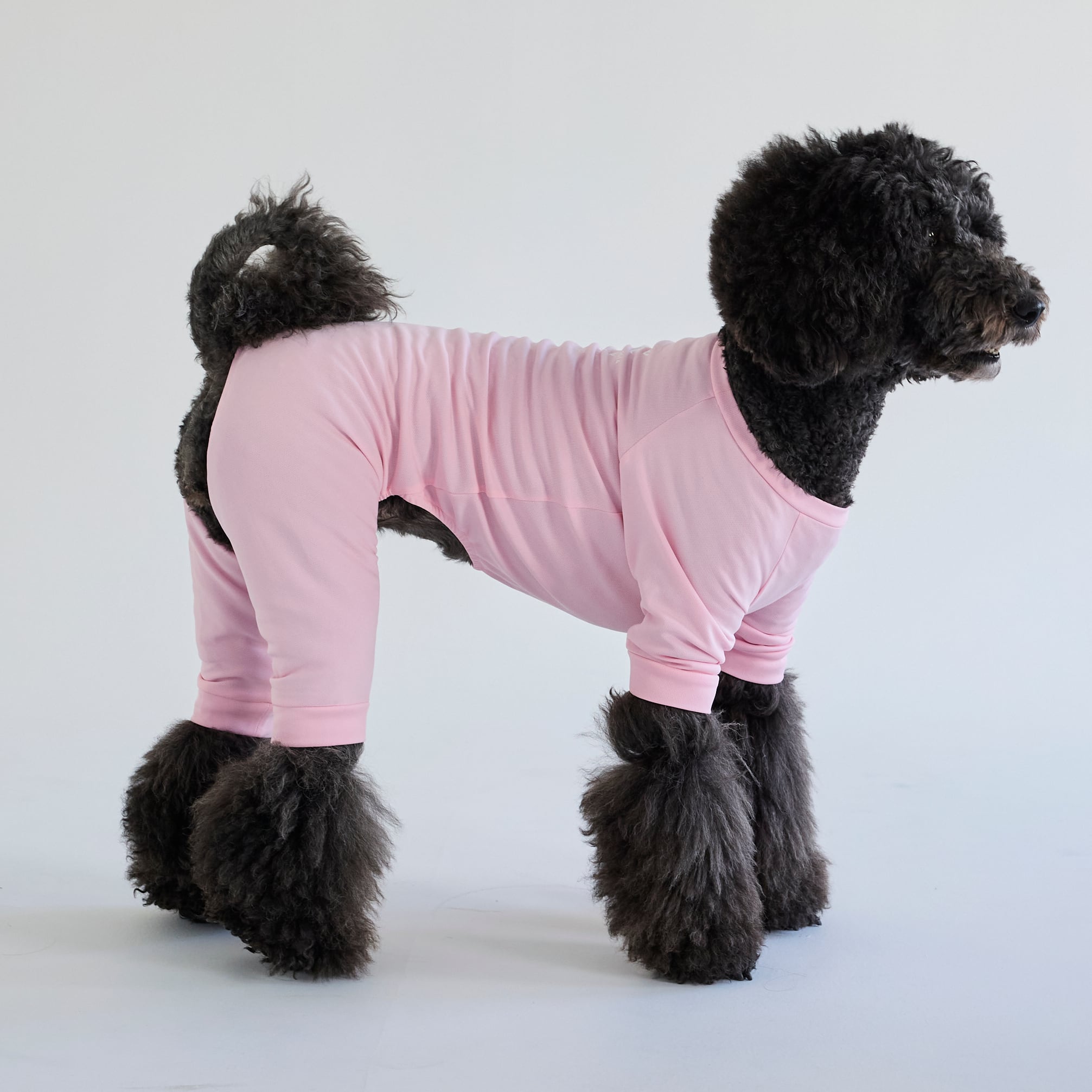 265509大型犬サイズ】冷感ロンパース | 犬服ブランド 2e deuxieme cale