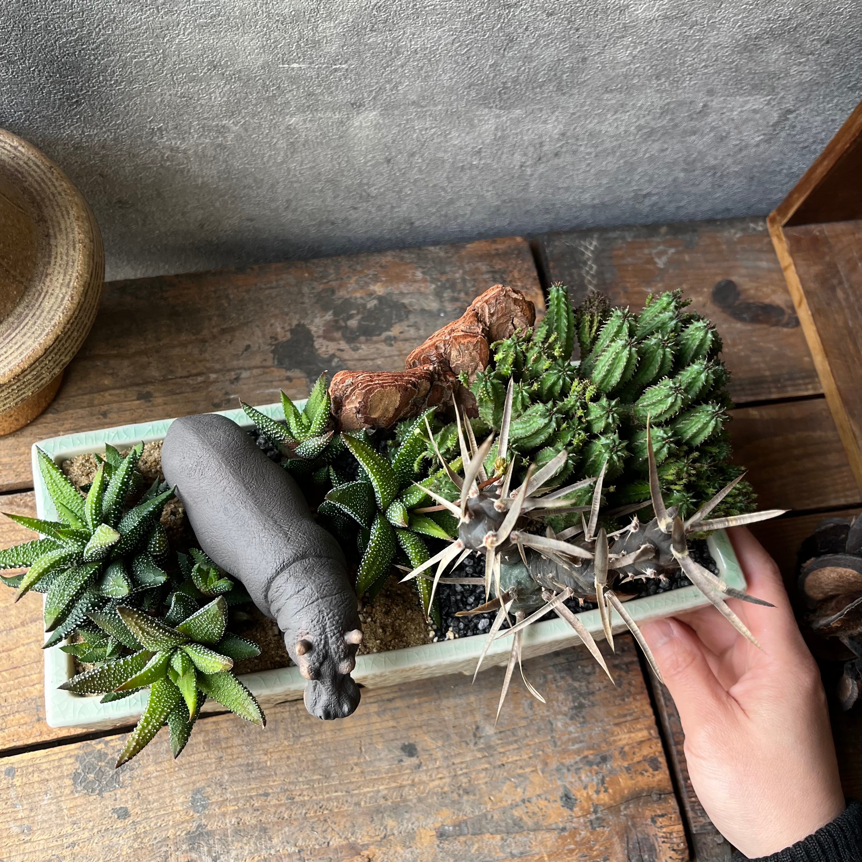 ジオラマ世界 〜 ¥10.000 | SABOTEN MISSILE