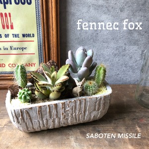 Fennec fox フェネック mini