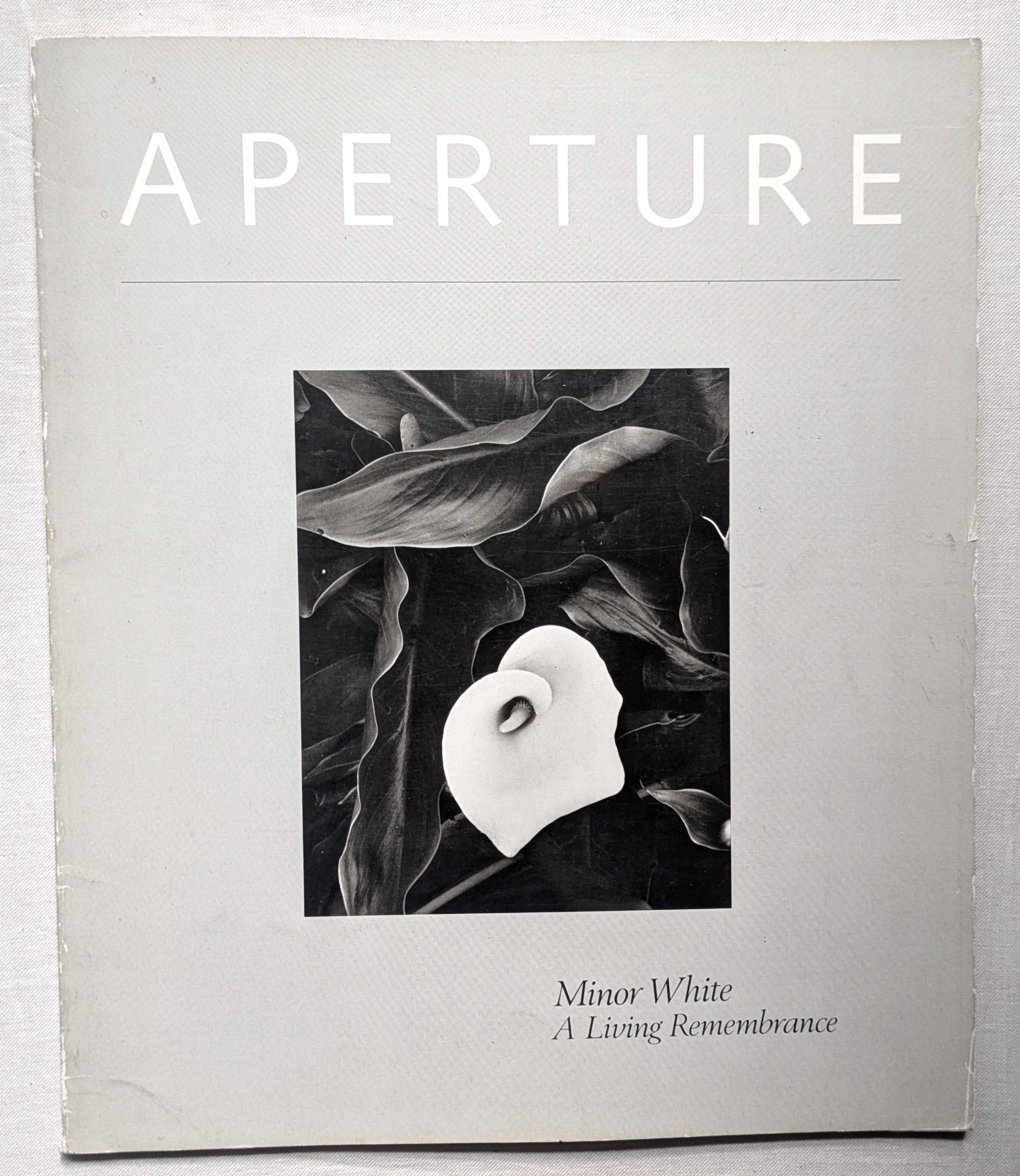 激レア！！　サビニャック　作品集 激レア！！ サビニャック 作品集 Amazon.co.jp: Raymond