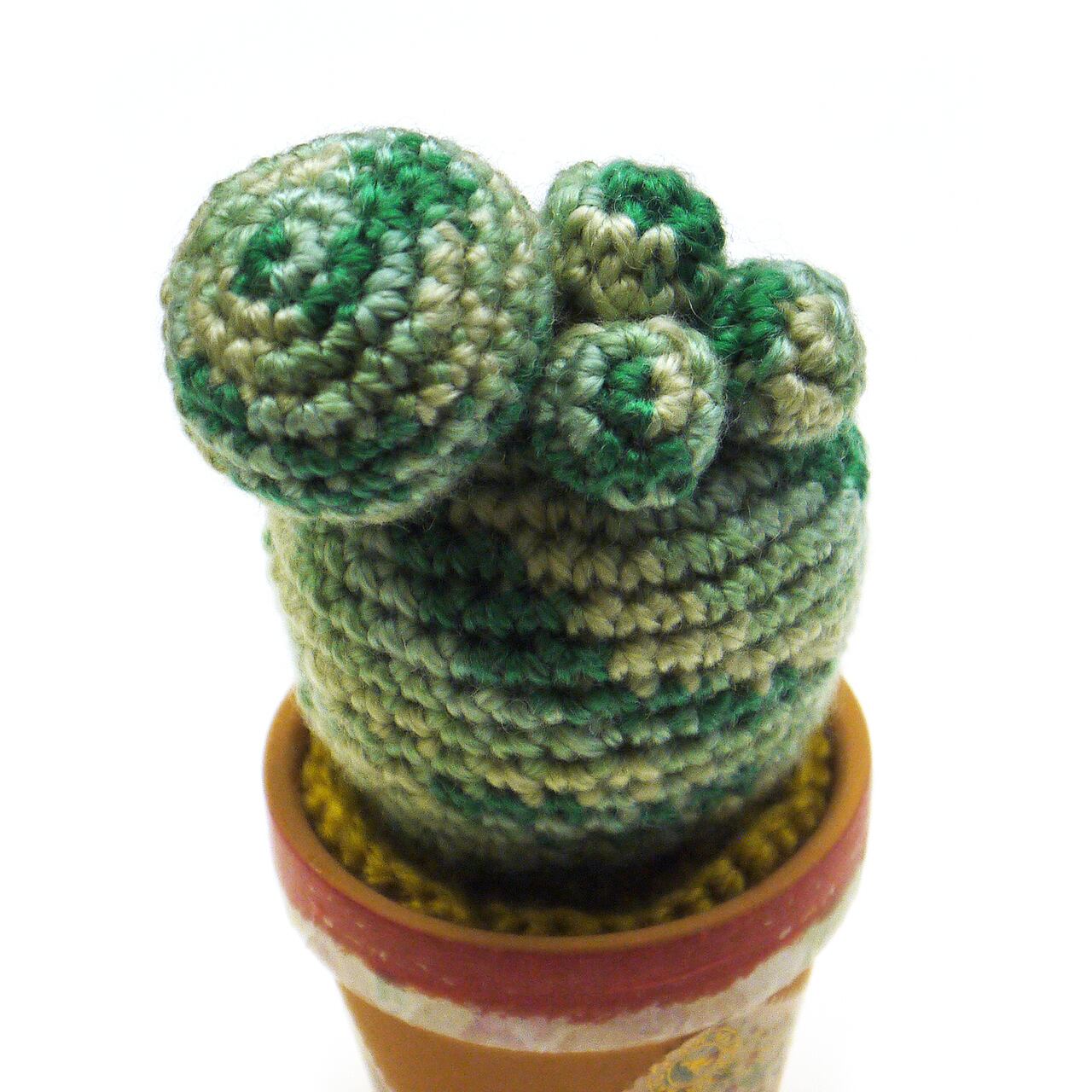 さぼてN】さぼてんあみぐるみインテリア/あみぐるみ | gallery