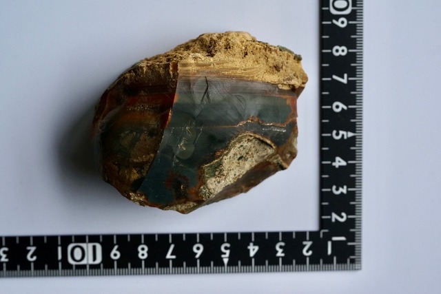 ブルーマウンテンジャスパー Jasper  ⑦