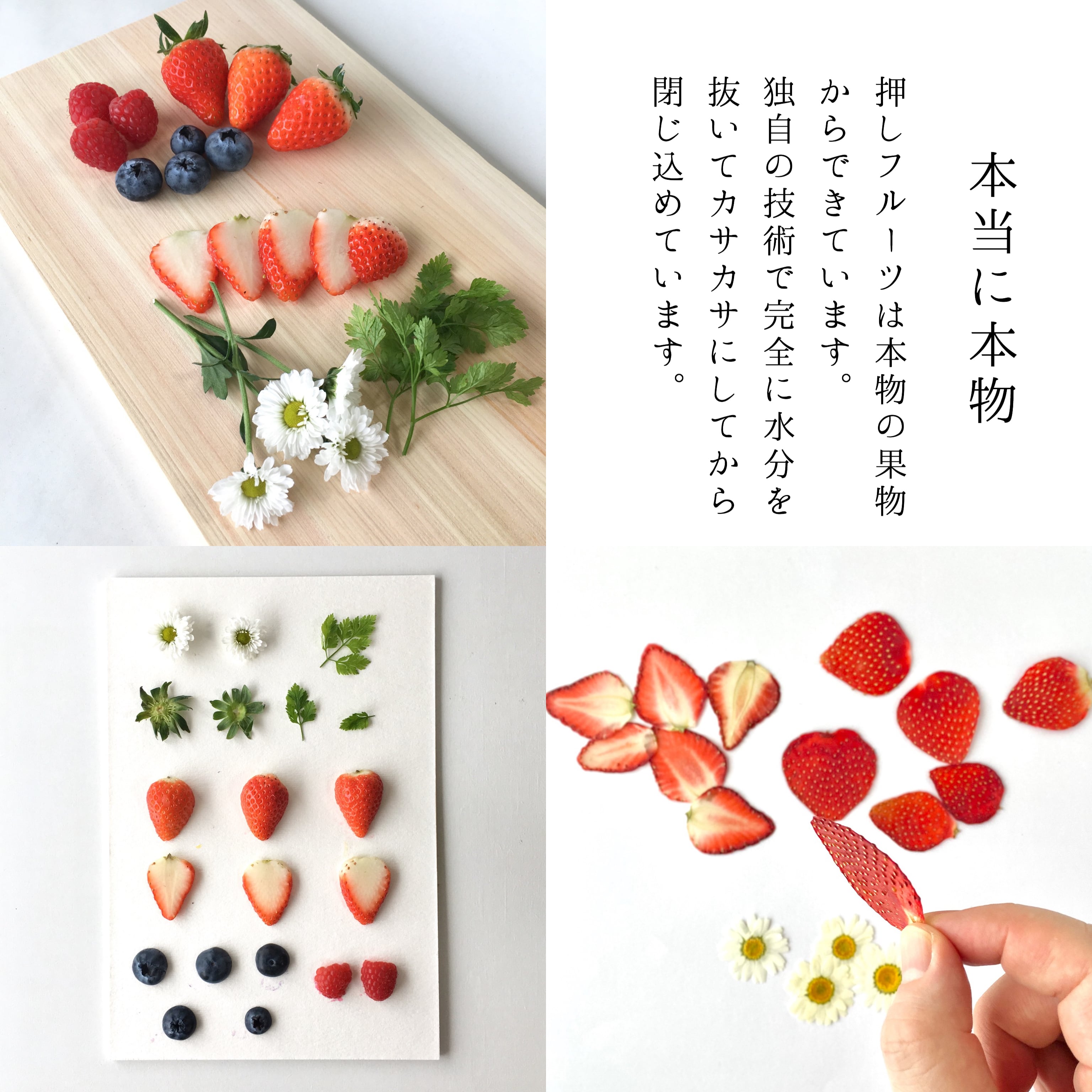 プリザーブドフラワーイチゴ☆♬ ショートケーキ ラズベリー ギフトケース付き ✿ プリザーブドフラワーイチゴ☆♬ ショートケーキ ラズベリー ギフト