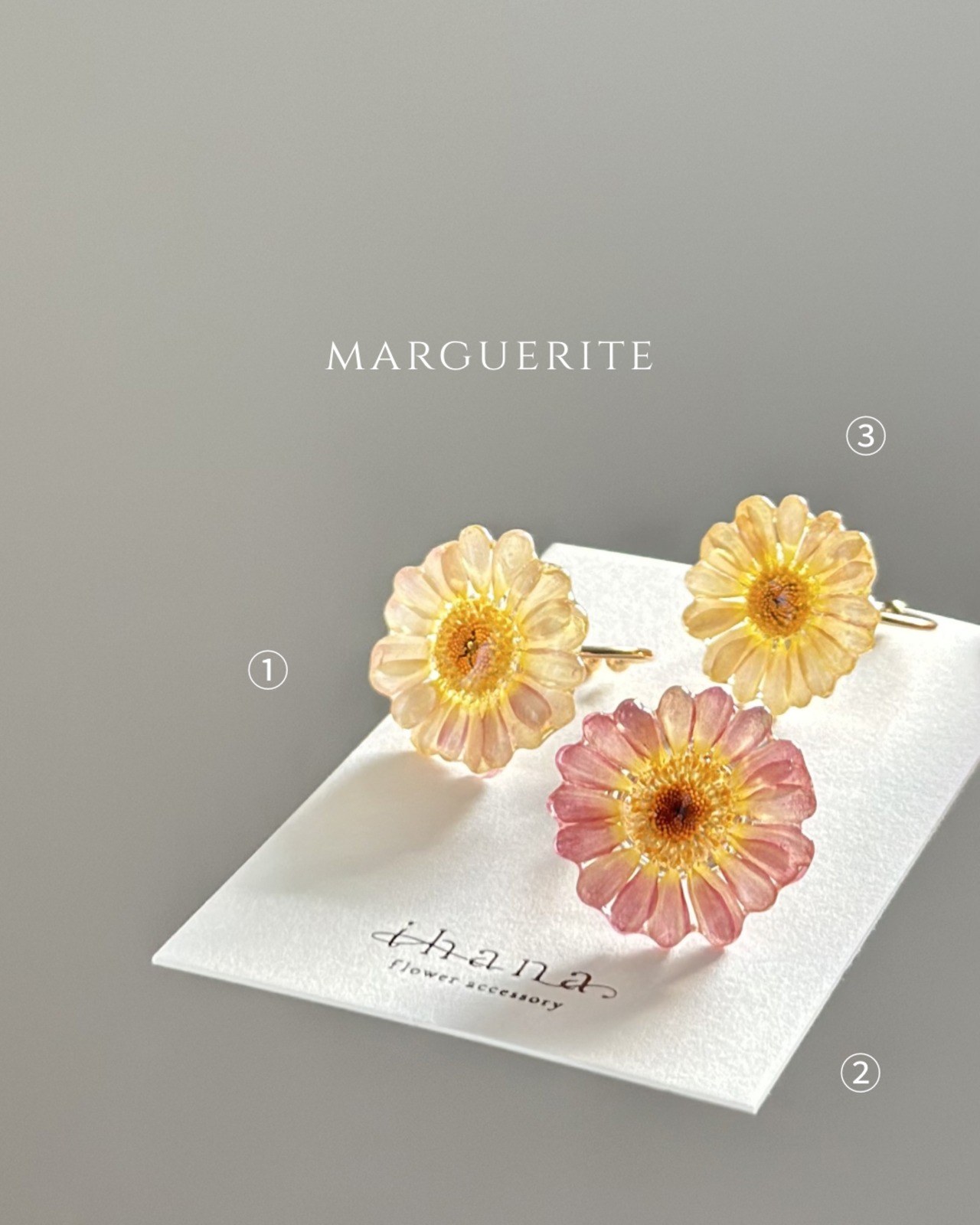 real flower ring「marguerite pink lemonade ③ 」【1点限定】